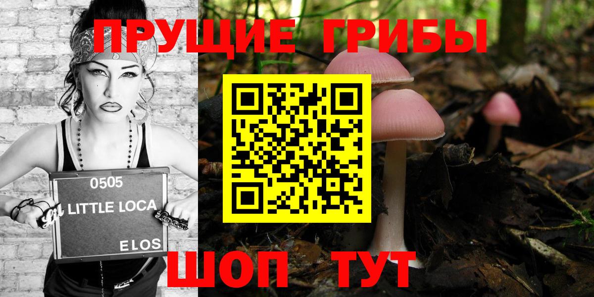 Нижний Новгород  Псилоцибиновые грибы Cubensis  Вход с VPN  Псилоцибиновые грибы Cubensis 