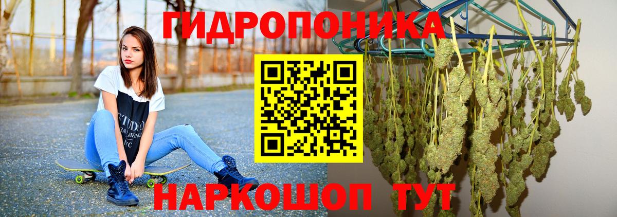 Нижний Новгород  Конопля SATIVA & INDICA  Вход с VPN  Бошки Шишки планчик 